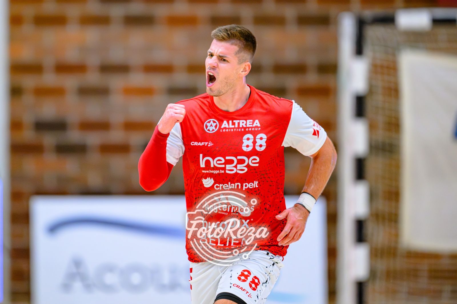 SPORTING PELT SNOEPT PUNTEN BIJ REGEREND SHL-KAMPIOEN