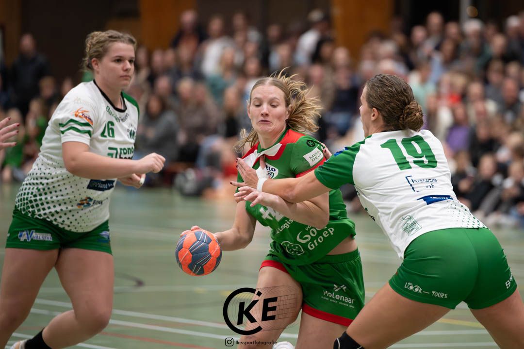 PRACHTIGE ZEGE VELO OP BUUR QUINTUS 2