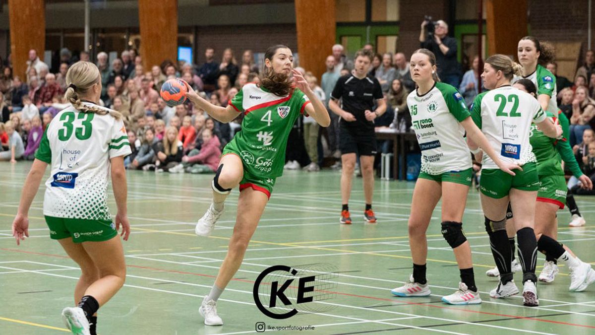 PRACHTIGE ZEGE VELO OP BUUR QUINTUS 2