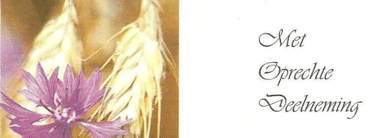 IN MEMORIAM: LEI STEINS