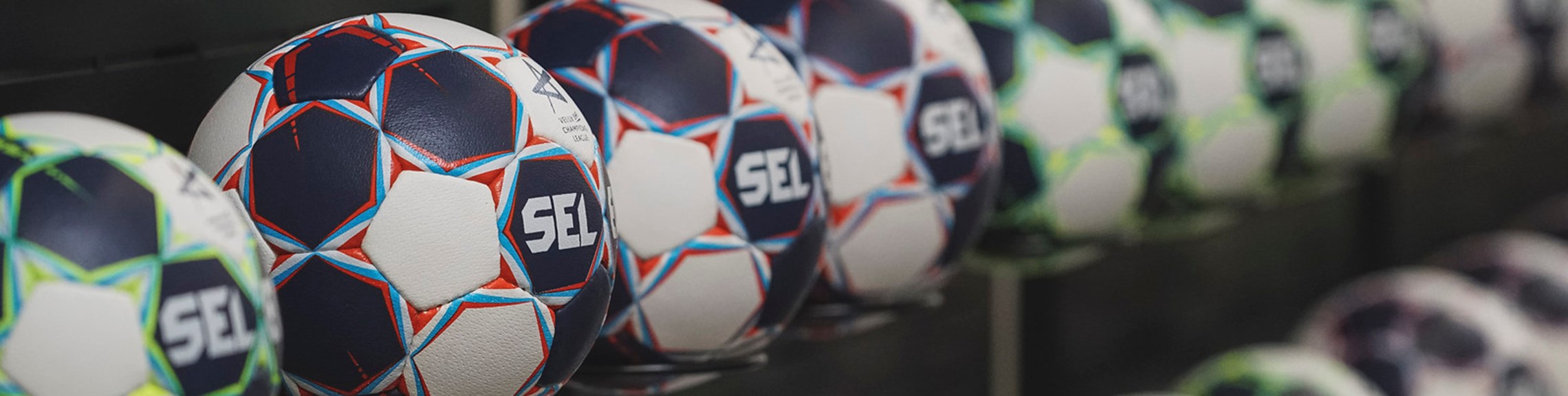 Nederlagen voor Borhave en DSVD